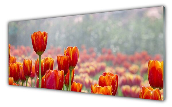 Sklenený obklad Do kuchyne Tulipány kvety rastlina 125x50 cm