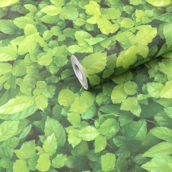 Samolepiace tapety zelené lístky habru 45 cm x 10 m IMPOL TRADE T41 Samolepiace tapety