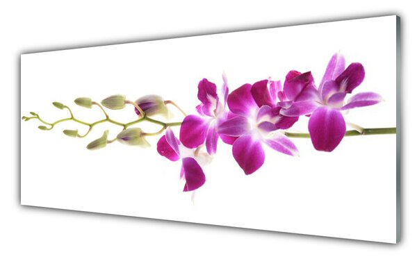 Nástenný panel  Kvety rastlina príroda 125x50 cm