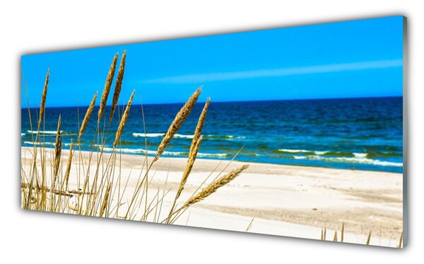 Nástenný panel  Oceán pláž príroda 125x50 cm