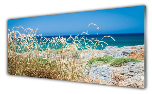 Nástenný panel  Pláž príroda 125x50 cm