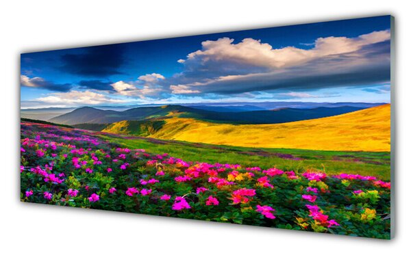 Nástenný panel  Lúka kvety príroda 125x50 cm