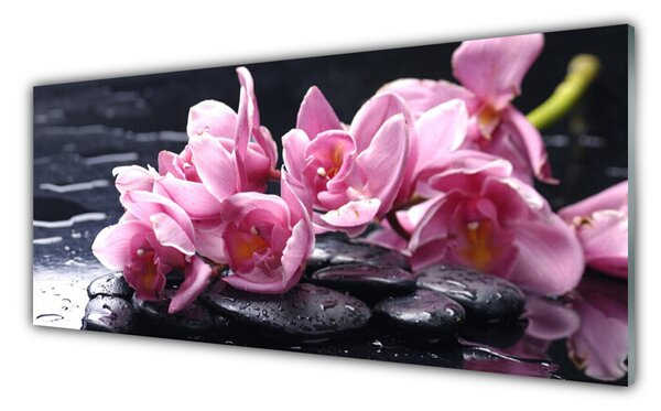 Nástenný panel  Kvet kamene rastlina 125x50 cm
