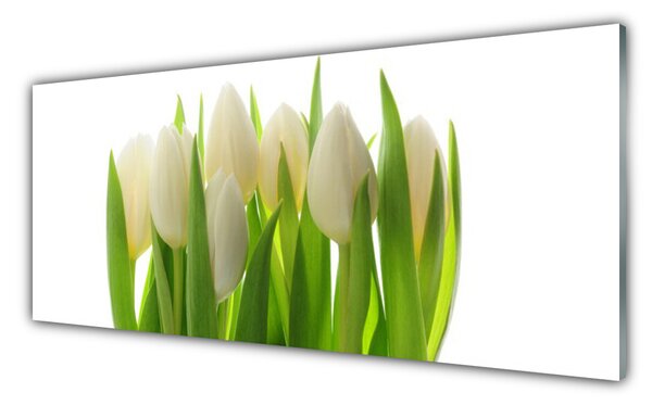 Nástenný panel  Tulipány rastlina príroda 125x50 cm