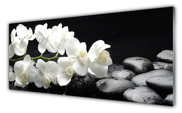 Nástenný panel  Kvet kamene rastlina 125x50 cm