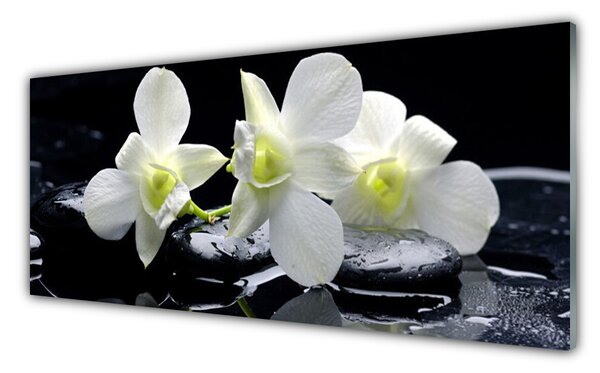 Nástenný panel  Kvet kamene rastlina 125x50 cm