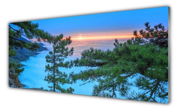 Nástenný panel  Stromy príroda 125x50 cm
