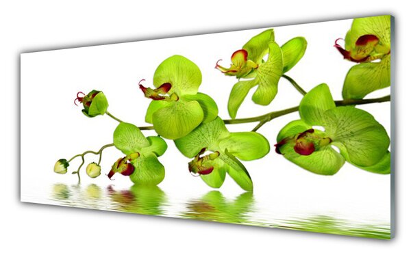 Nástenný panel  Kvety rastlina príroda 125x50 cm