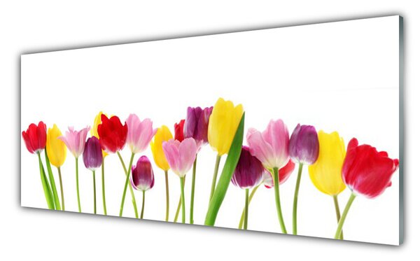 Nástenný panel  Tulipány kvety rastlina 125x50 cm