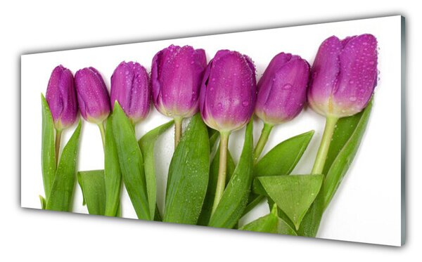 Nástenný panel  Tulipány kvety rastlina 125x50 cm