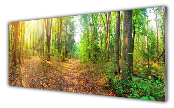 Nástenný panel  Les príroda 125x50 cm