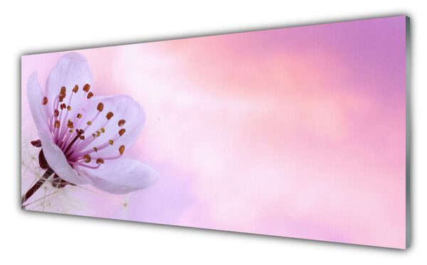 Nástenný panel  Kvet rastlina príroda 125x50 cm