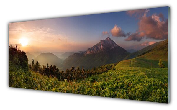 Nástenný panel  Hora les príroda 125x50 cm