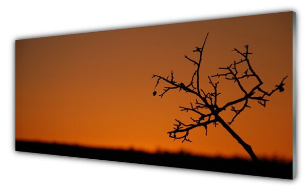 Nástenný panel  Strom umenie 125x50 cm