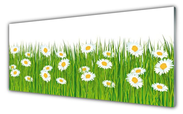 Nástenný panel  Tráva sedmokrásky príroda 125x50 cm