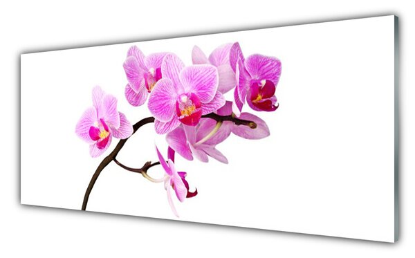 Nástenný panel  Kvety rastlina príroda 125x50 cm