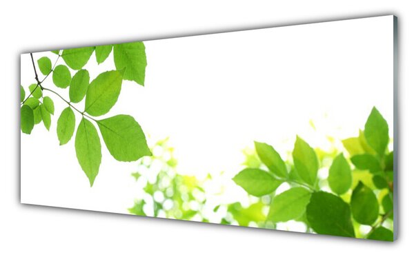 Sklenený obklad Do kuchyne Plátky rastlina príroda 125x50 cm