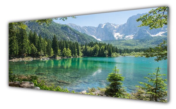 Sklenený obklad Do kuchyne Hory jazero les príroda 125x50 cm