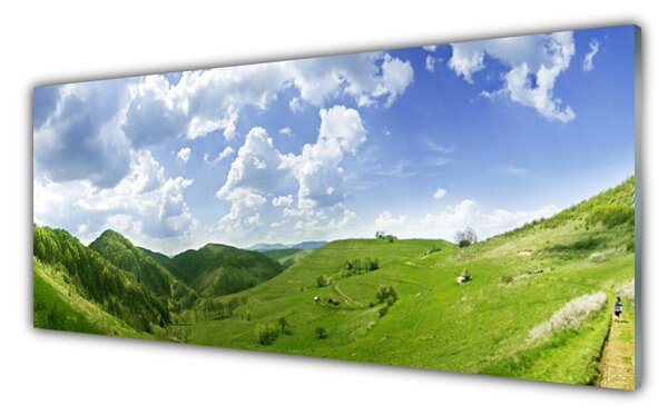 Sklenený obklad Do kuchyne Hora lúka príroda 125x50 cm
