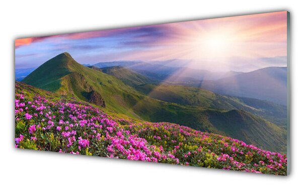 Sklenený obklad Do kuchyne Hory lúka kvety príroda 125x50 cm