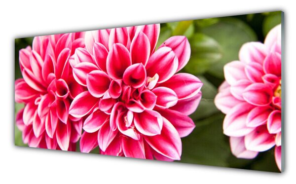 Sklenený obklad Do kuchyne Kvety rastlina príroda 125x50 cm