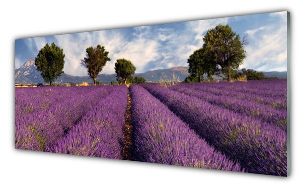 Sklenený obklad Do kuchyne Lúka stromy príroda 125x50 cm