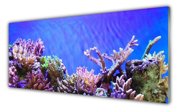 Sklenený obklad Do kuchyne Koralový útes príroda 125x50 cm
