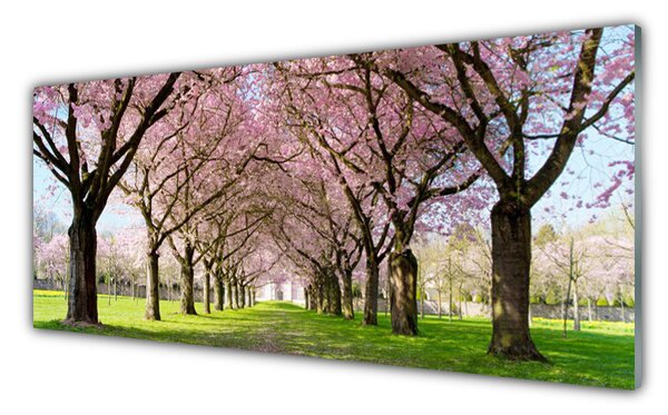Sklenený obklad Do kuchyne Chodník stromy príroda 125x50 cm