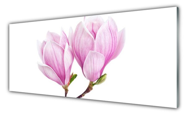 Sklenený obklad Do kuchyne Kvet rastlina príroda 125x50 cm
