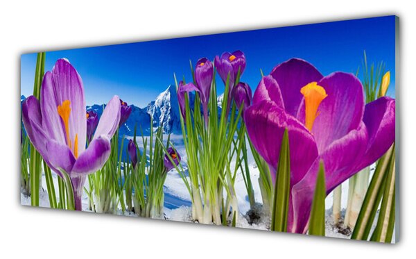 Sklenený obklad Do kuchyne Kvety rastlina príroda 125x50 cm