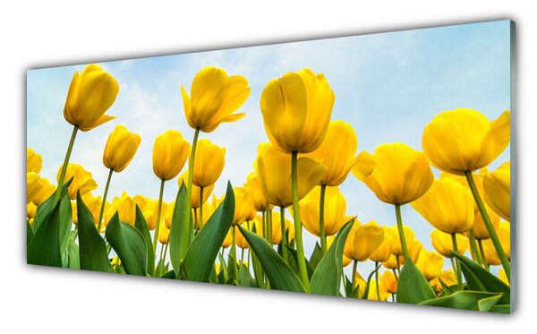 Sklenený obklad Do kuchyne Tulipány kvety rastlina 125x50 cm