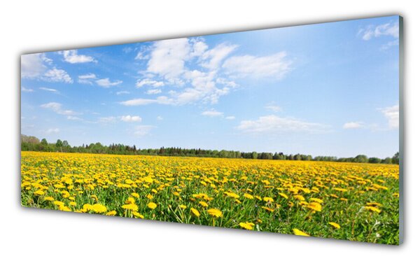 Nástenný panel  Púpava príroda 125x50 cm