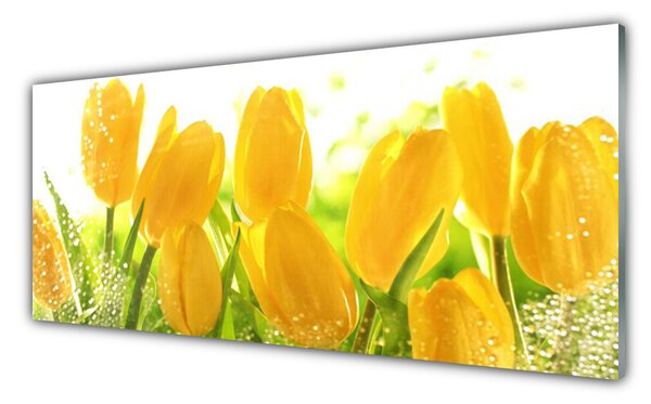 Sklenený obklad Do kuchyne Tulipány kvety rastlina 125x50 cm