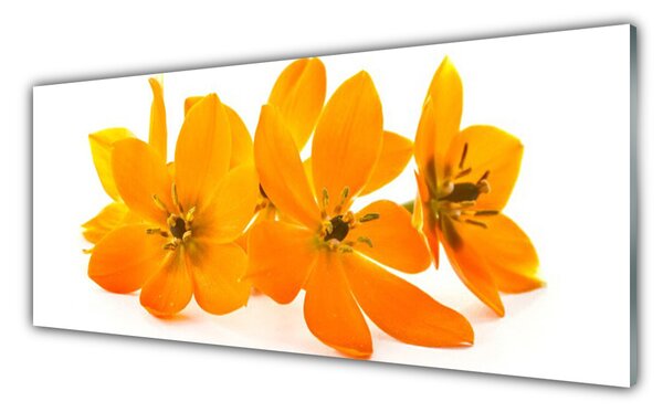 Nástenný panel  Oranžové kvety 125x50 cm