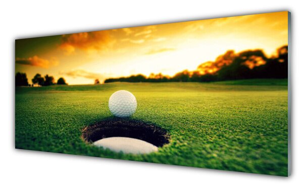 Nástenný panel  Golfový loptička tráva príroda 125x50 cm