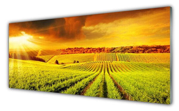Nástenný panel  Pole západ slnka krajina 125x50 cm