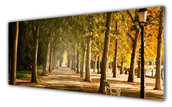 Nástenný panel  Park alej príroda 125x50 cm