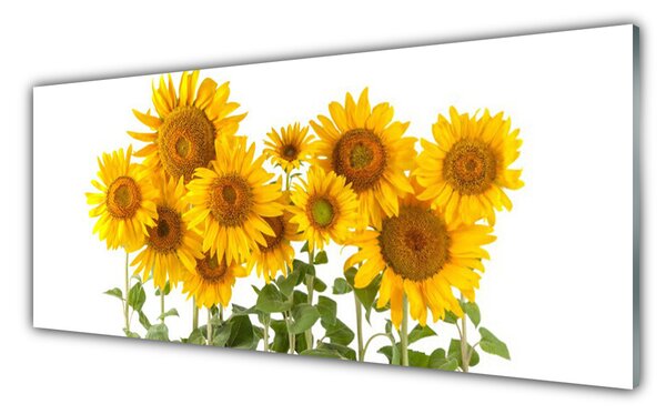 Nástenný panel  Slnečnica 125x50 cm