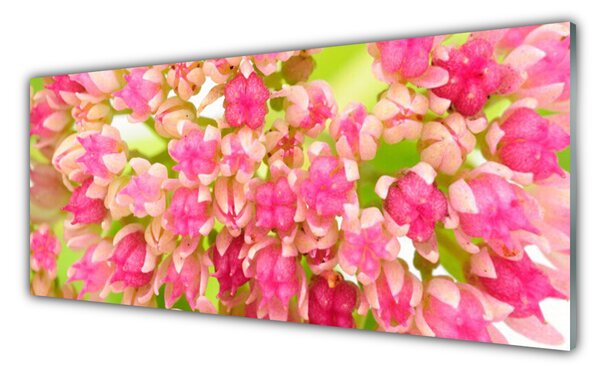 Nástenný panel  Kvet lotosu 125x50 cm