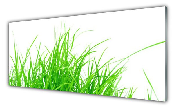 Nástenný panel  Tráva 125x50 cm