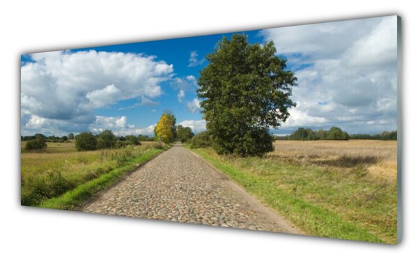 Nástenný panel  Dedina cesta dlažba krajina 125x50 cm