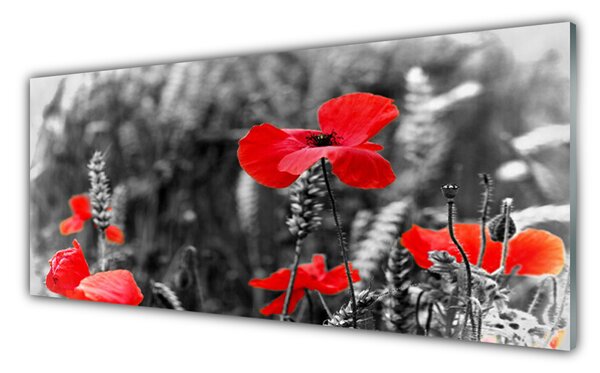 Nástenný panel  Maky 125x50 cm
