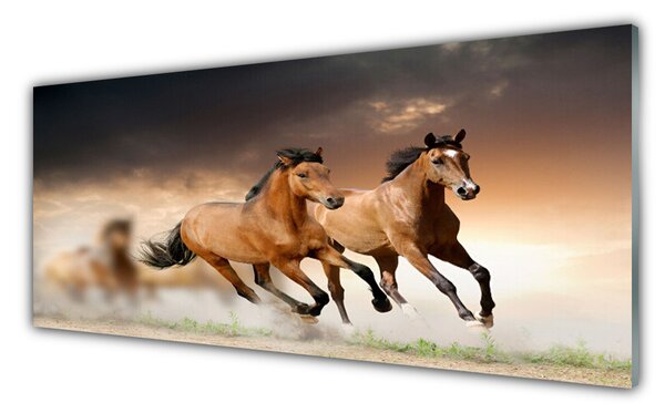 Nástenný panel  Kone zvieratá 125x50 cm