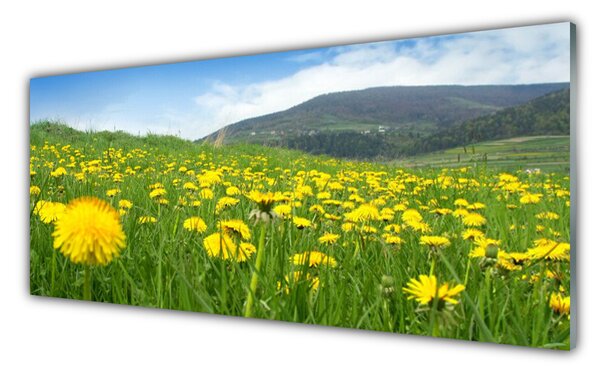 Nástenný panel  Púpava príroda 125x50 cm
