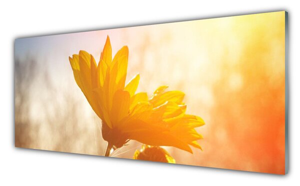 Nástenný panel  Slnečnica 125x50 cm