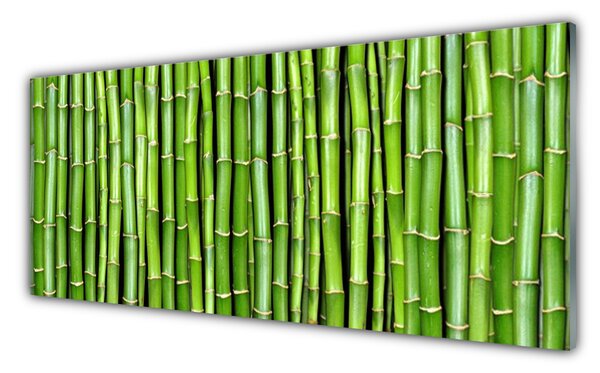 Nástenný panel  Bambus kvet rastlina 125x50 cm