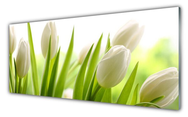 Nástenný panel  Tulipány kvety 125x50 cm