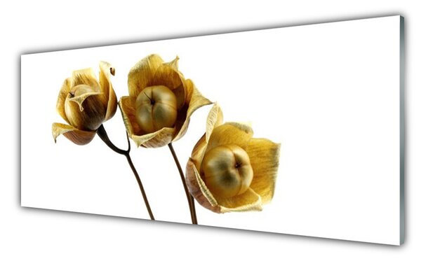 Nástenný panel  Kvety rastlina 125x50 cm