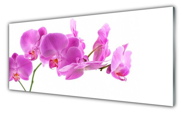 Nástenný panel  Kvety rastlina príroda 125x50 cm