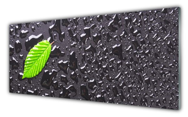 Nástenný panel  List kvapky umenie 125x50 cm